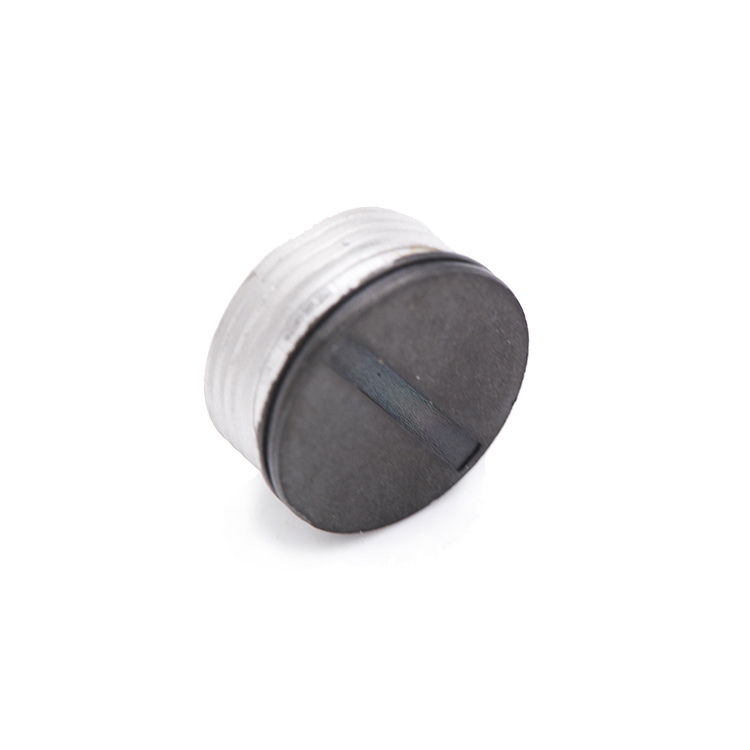 China Suppliers MIM Products Factory Price Solid phase sintering Instrument metal parts Battery cover button knob